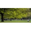 Tableau photographie urbain London Hyde Park 1