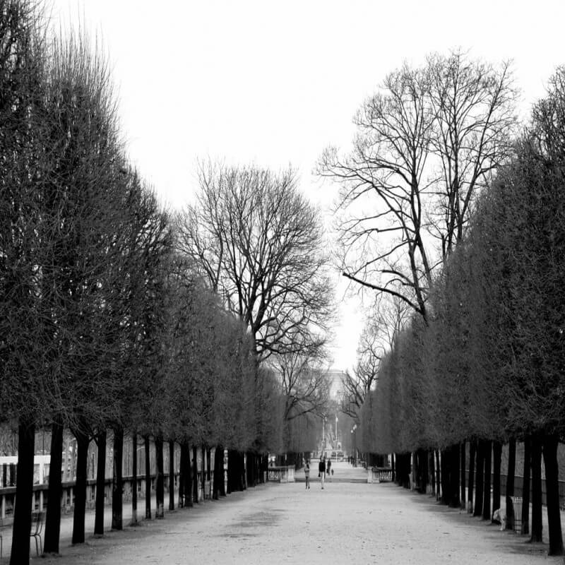 Quadre fotografia urbana ciutat jardin des Tuilleries