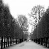 cuadros modernos fotografía jardin des Tuilleries