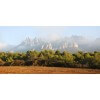 Tableau photographie paisajes Montserrat 3
